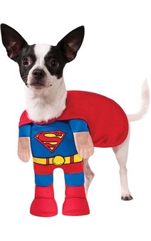 Superman Pet Dog Costume