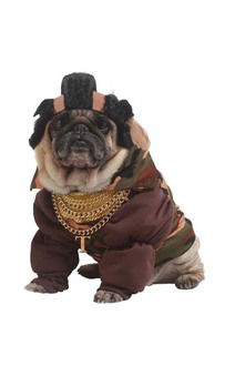 Mr T MoHawk Pet Costume