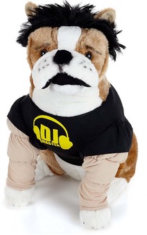 DJ Master Pet Costume