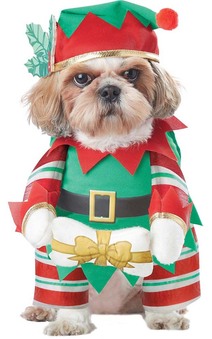 Elf Pup Dog Christmas Pet Costume