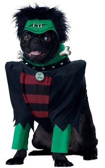 Frankenpup Dog Halloween Monster Costume