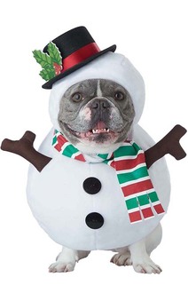 Snowman Dog Pet Christmas Olaf Costume