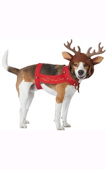 Reindeer Dog Christmas Pet Costume