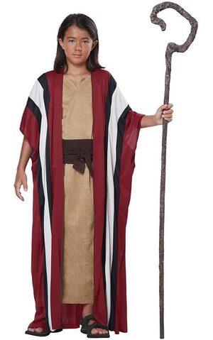 Shepherd Moses Child Costume