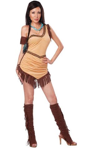 Native American Beauty Pocohontas Adult Indian Costume