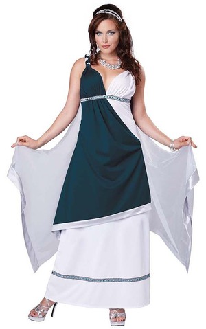 Roman Beauty Adult Toga Dress Costume