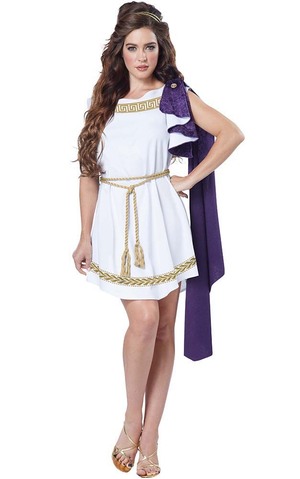 Grecian Toga Dress Adult Costume