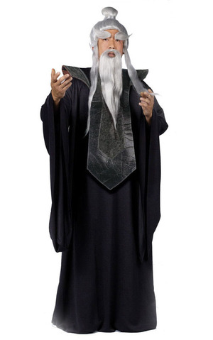 Sensei Master Adult Costume