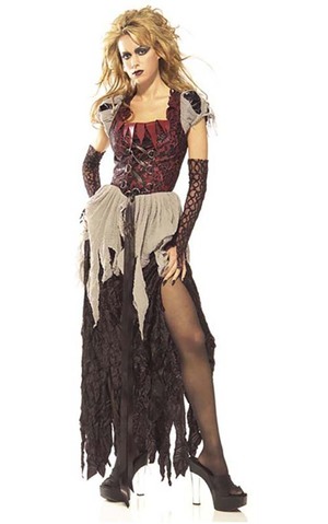 Sinderella Adult Costume
