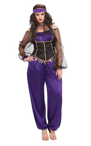 Harem Girl Adult Belly Dancer Egyptian Costume