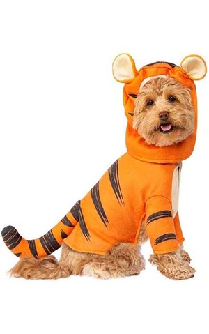 Tigger Pet Dog Disney Costume
