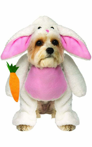 Pet Easter Bunny Walking Dog Costume