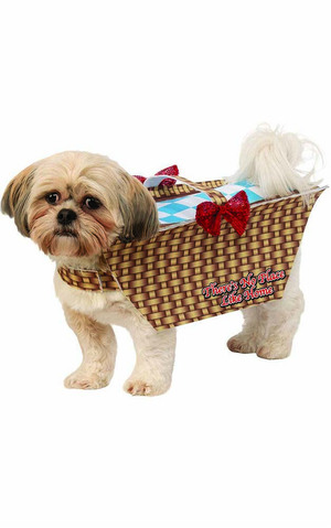 Pet Toto Wizard Of Oz  Basket Dog Costume