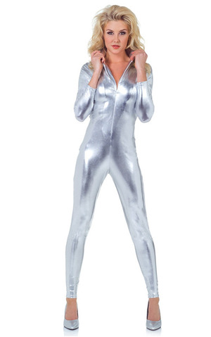 Silver Bodysuit Adult Costume