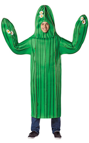 Cactus Adult Costume