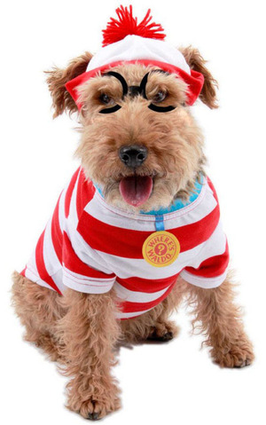 Where's Wally Pet Costume