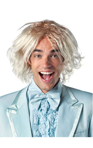 Dumb and Dumber Harry Wig