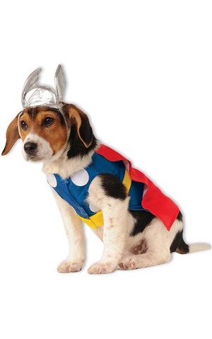 Thor Pet Dog Costume