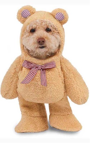 Walking Teddy Bear Pet Dog Costume