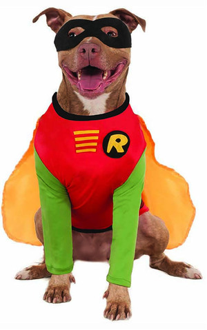 Big Dogs Robin Pet Dog Batman Costume