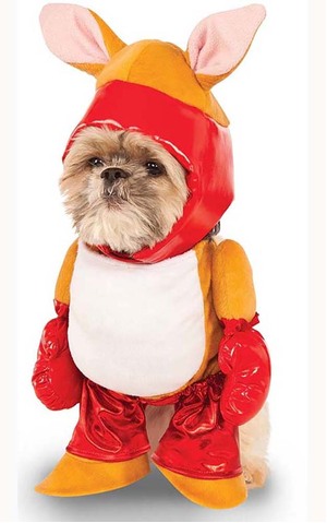 Boxing Kangaroo Pet Dog Costume