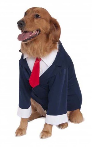 Big Dog Blue Business Suit Costume