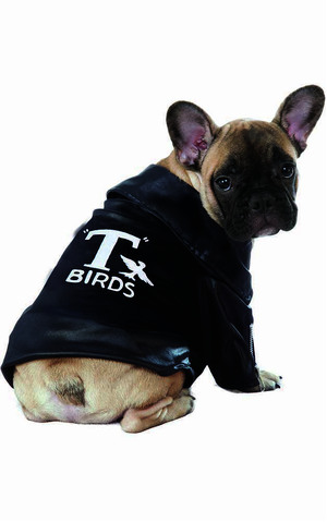 T-birds Jacket Grease Pet Dog Costume