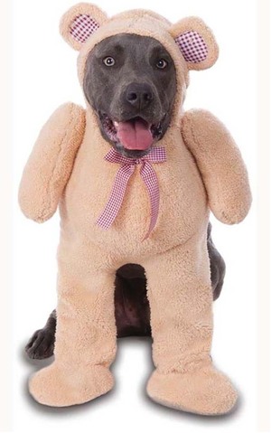 Big Dog's Walking Teddy Bear Pet Costume