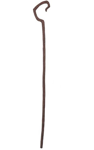 Moses Shepherd's Staff