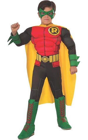 Dc Superhero Robin Child Costume