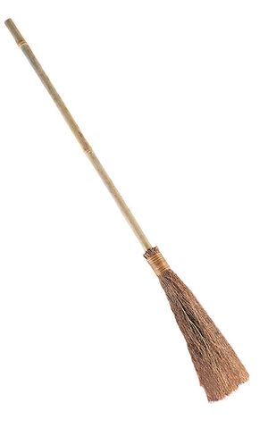 Wicked Witch Flying Broom