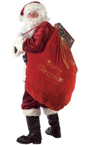 Santa Sack Santa Claus Costume Accessory