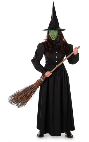 Wicked Witch Wizard Of Oz Adult Costume