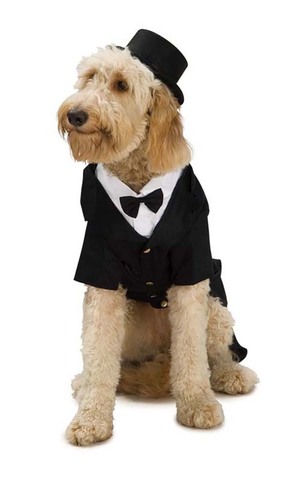 Dapper Dog Wedding Suit Tuxedo Pet Costume