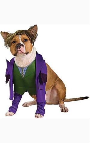 Joker Dark Knight Pet Dog Costume