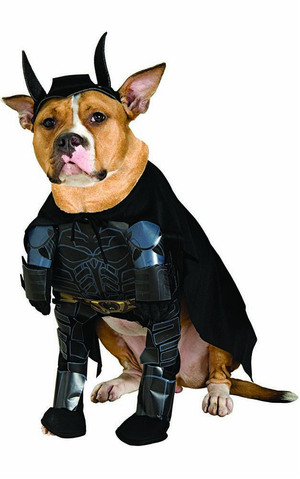 Batman Dark Knight Pet Dog Costume
