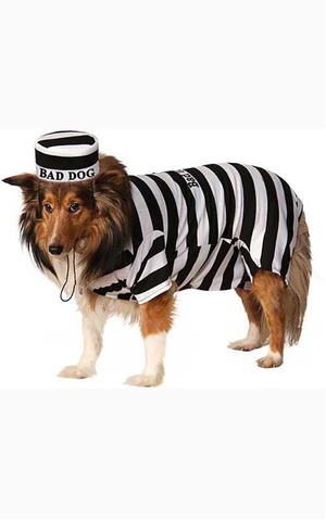 Pet Prisoner Dog Convict Costume