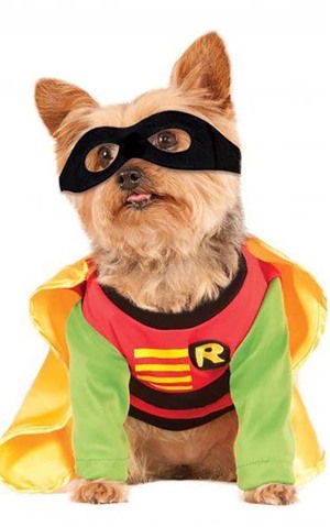 Pet Dog Robin Costume - Teen Titans