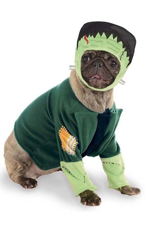 Frankenstein Pet Dog Costume