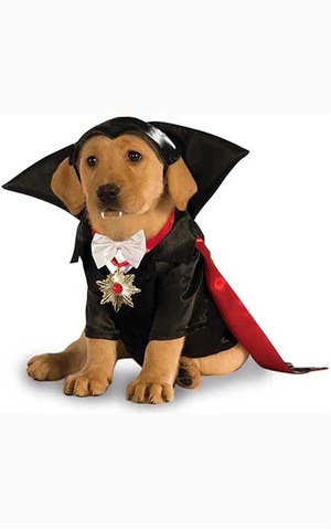Pet Dracula Dog Vampire Costume