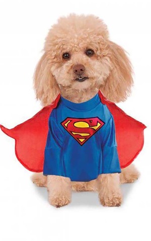 Superman Pet Dog Costume