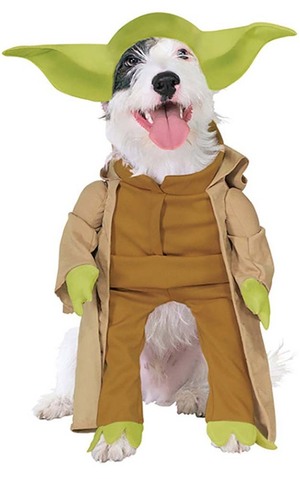 Yoda Star Wars  Dog Costume