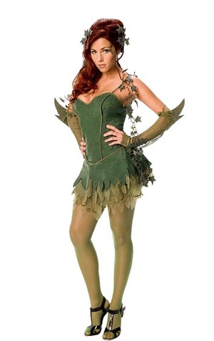 Poison Ivy Adult Batman Villain Costume