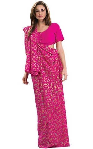 Indian Pink Sari Adult Costume