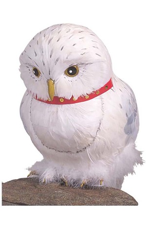 Hedwig The Owl Harry Potter