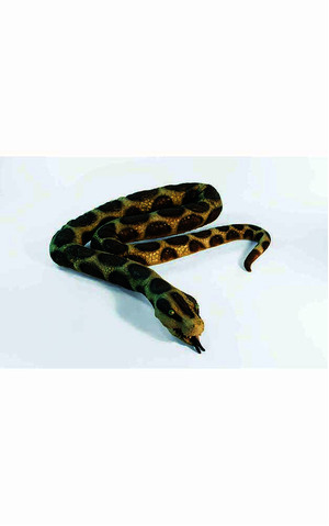 Giant Python Snake Costume Accessory Prop Approx 4ft Long