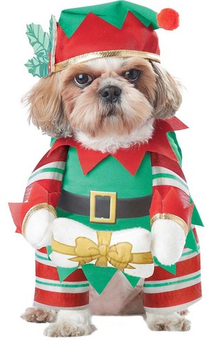 Elf Pup Dog Christmas Pet Costume