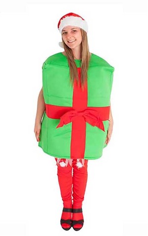 Christmas Gift Box Adult Costume